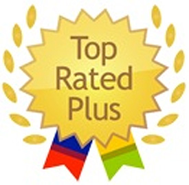 ebay-top-rated-plus.jpg